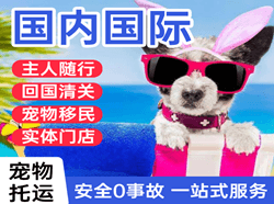 路桥空运代理国际宠物托运 【国